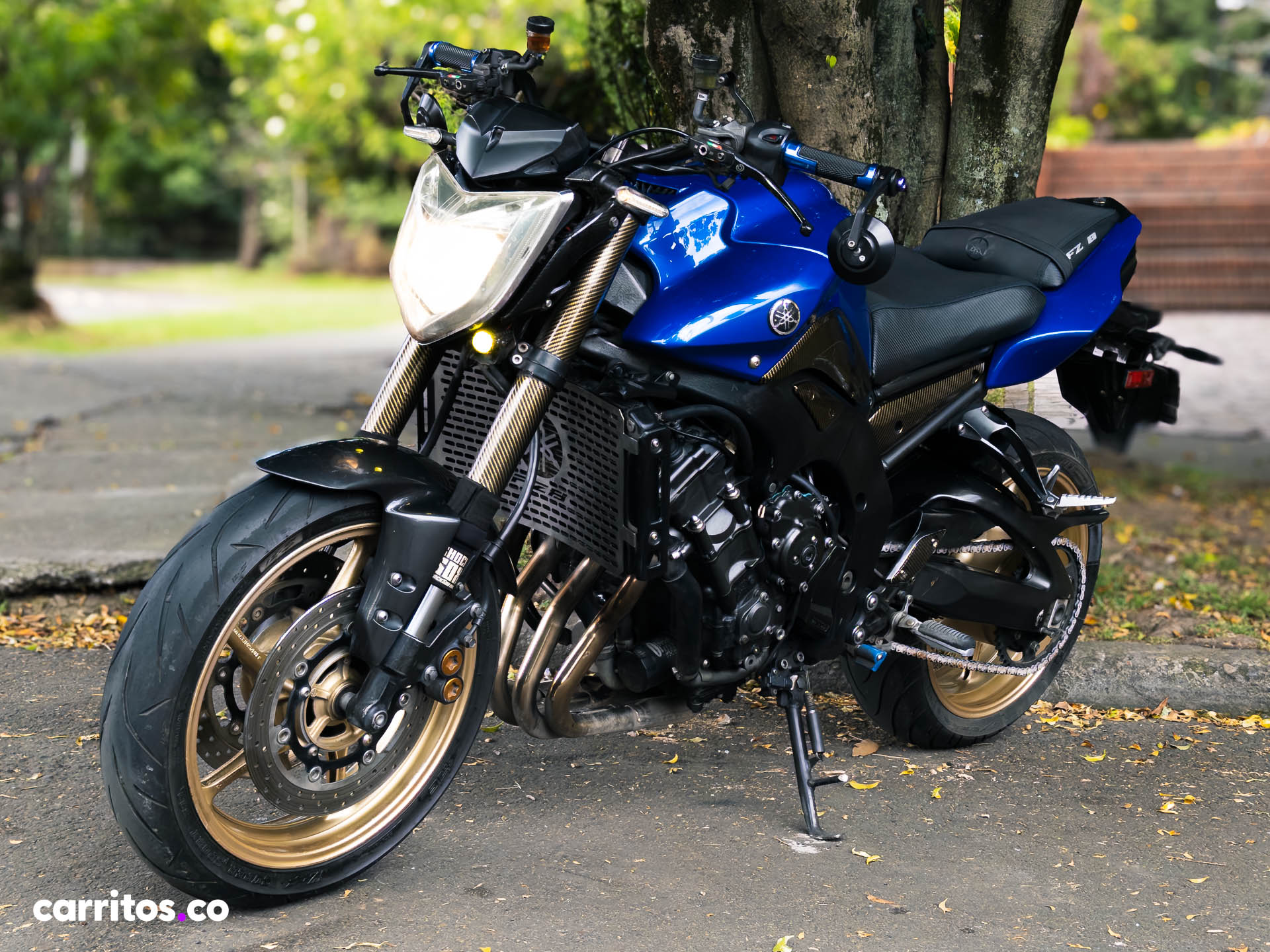 Yamaha FZ8 N